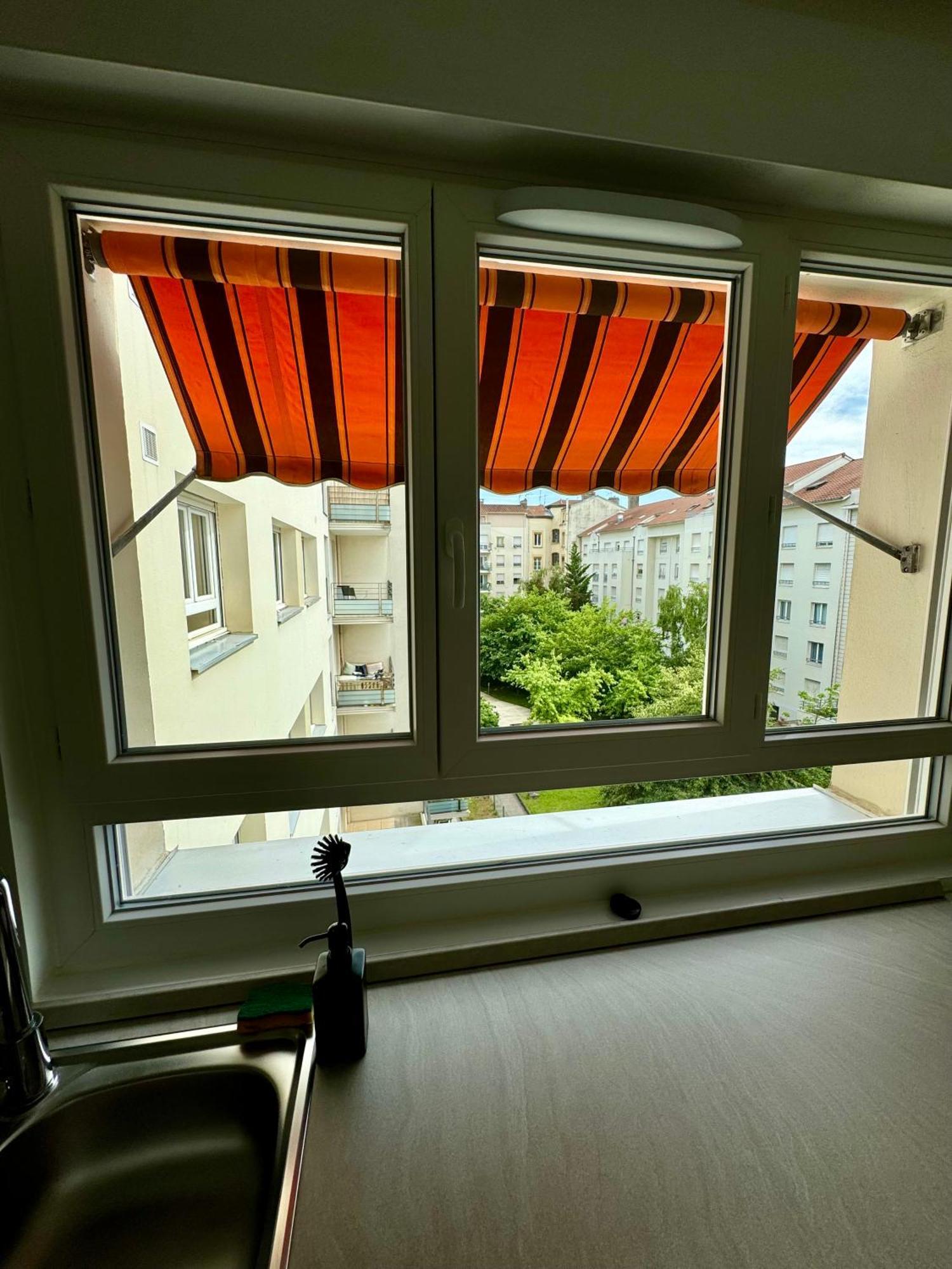 Le Lac - Appartement 15' Partdieu Et Bellecour Лион Экстерьер фото